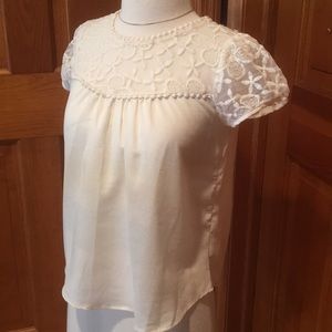 Embroidered Sheer Top Blouse
